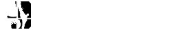 Foundational Black American Gaming✊🏿